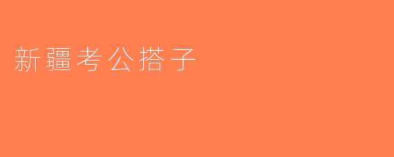 新疆考公搭子