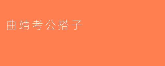 曲靖考公搭子