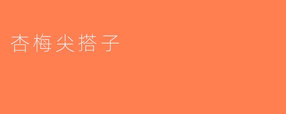 杏梅尖搭子