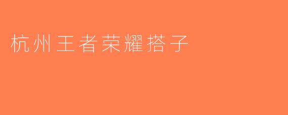 杭州王者荣耀搭子