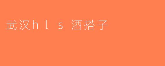 武汉hls酒搭子