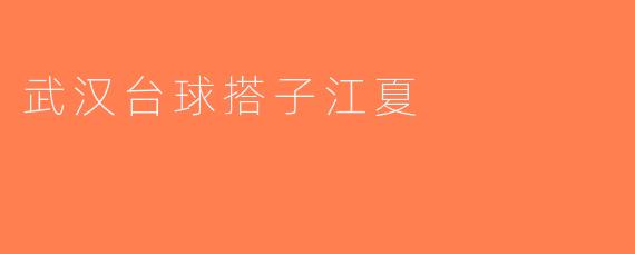 武汉台球搭子江夏