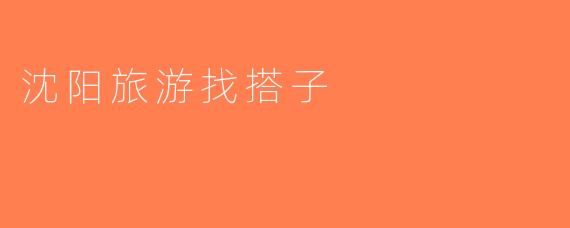沈阳旅游找搭子
