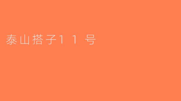 泰山搭子11号