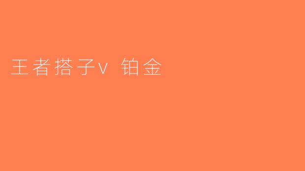 王者搭子v铂金