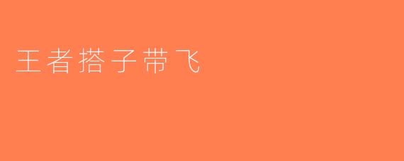 王者搭子带飞