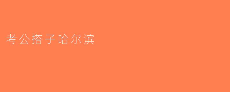 考公搭子哈尔滨