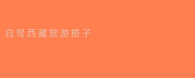 自驾西藏旅游搭子