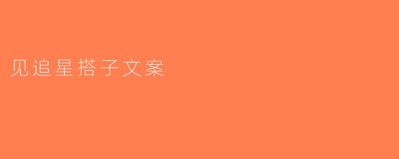 见追星搭子文案