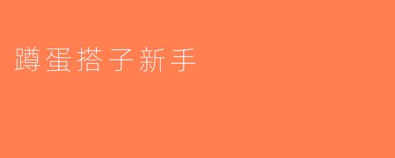 蹲蛋搭子新手