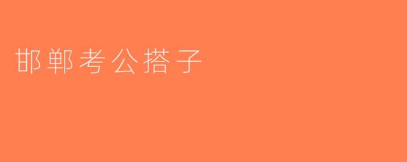 邯郸考公搭子