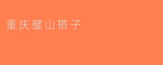 重庆璧山搭子