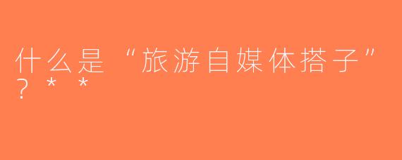 什么是“旅游自媒体搭子”？**