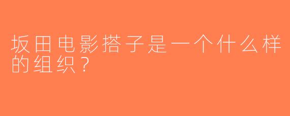 坂田电影搭子是一个什么样的组织？