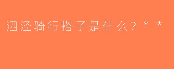 泗泾骑行搭子是什么？**