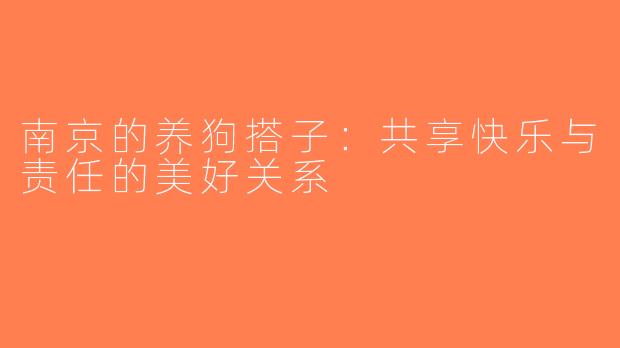 南京的养狗搭子：共享快乐与责任的美好关系