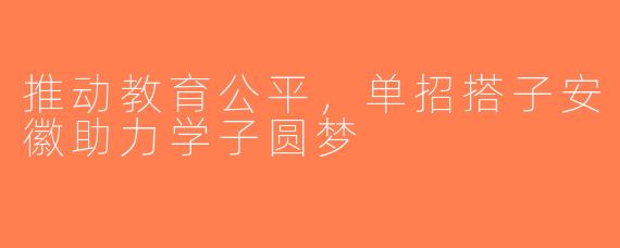 推动教育公平，单招搭子安徽助力学子圆梦