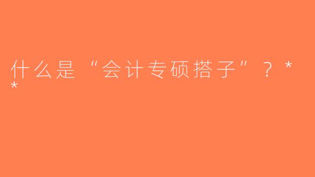 什么是“会计专硕搭子”？**
