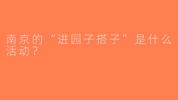 南京的“进园子搭子”是什么活动？