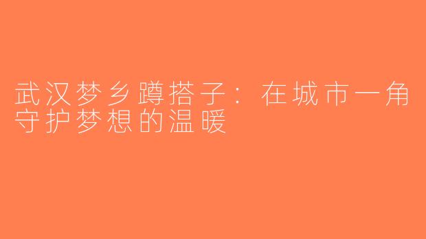 武汉梦乡蹲搭子：在城市一角守护梦想的温暖
