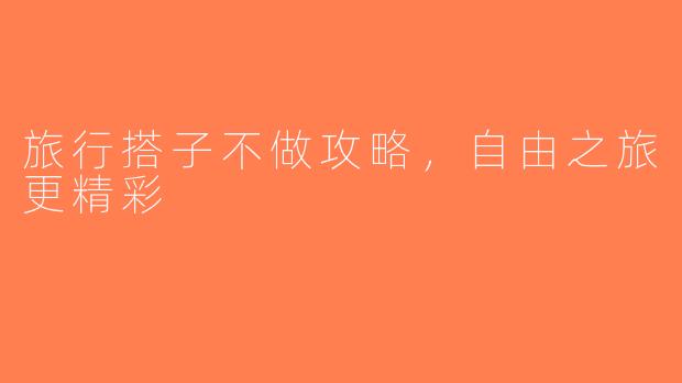 旅行搭子不做攻略，自由之旅更精彩