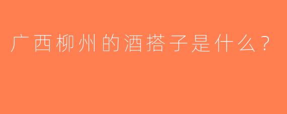 广西柳州的酒搭子是什么？