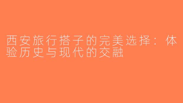 西安旅行搭子的完美选择：体验历史与现代的交融