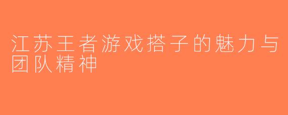江苏王者游戏搭子的魅力与团队精神