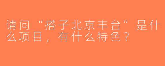 请问“搭子北京丰台”是什么项目，有什么特色？