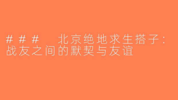 ### 北京绝地求生搭子：战友之间的默契与友谊