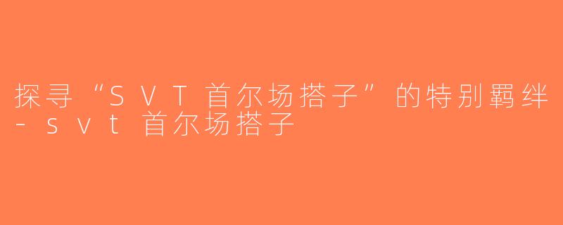 探寻“SVT首尔场搭子”的特别羁绊-svt首尔场搭子