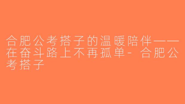 合肥公考搭子的温暖陪伴——在奋斗路上不再孤单-合肥公考搭子