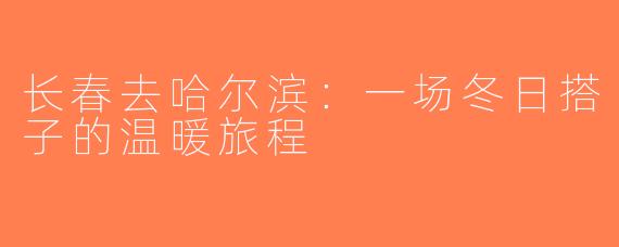 长春去哈尔滨：一场冬日搭子的温暖旅程