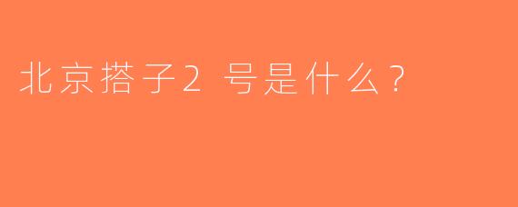 北京搭子2号是什么？
