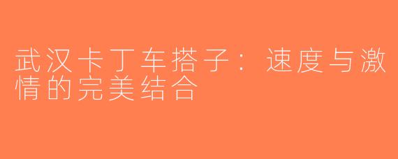 武汉卡丁车搭子：速度与激情的完美结合