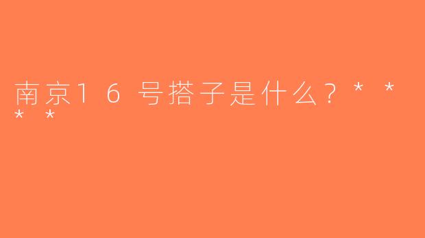 南京16号搭子是什么？****