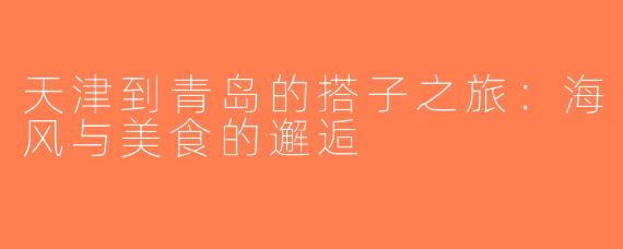 天津到青岛的搭子之旅：海风与美食的邂逅