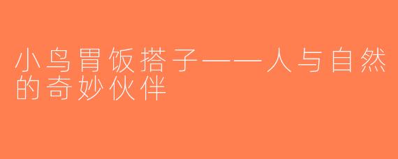 小鸟胃饭搭子——人与自然的奇妙伙伴