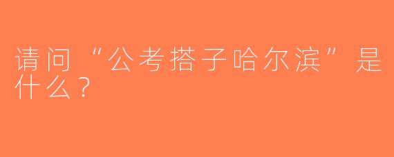 请问“公考搭子哈尔滨”是什么？