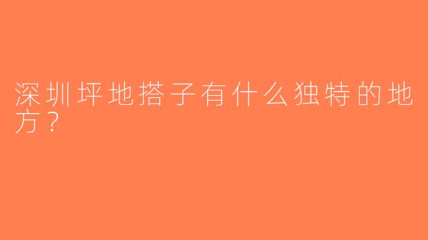 深圳坪地搭子有什么独特的地方？