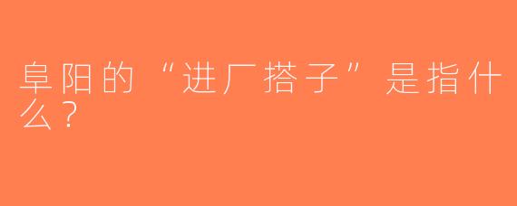 阜阳的“进厂搭子”是指什么？