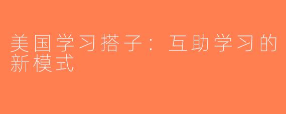 美国学习搭子：互助学习的新模式
