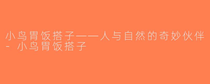 小鸟胃饭搭子——人与自然的奇妙伙伴-小鸟胃饭搭子