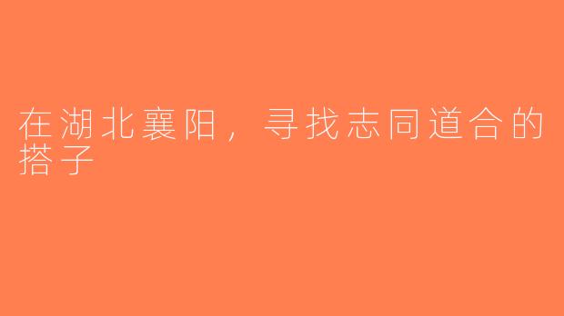在湖北襄阳，寻找志同道合的搭子