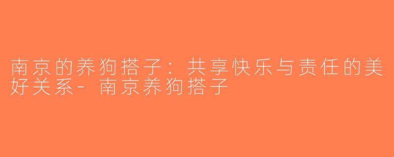 南京的养狗搭子：共享快乐与责任的美好关系-南京养狗搭子