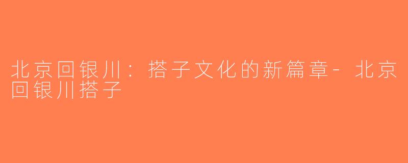 北京回银川：搭子文化的新篇章-北京回银川搭子