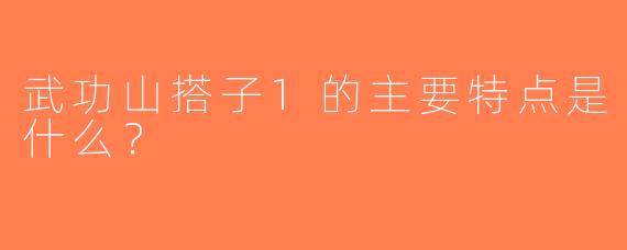 武功山搭子1的主要特点是什么？