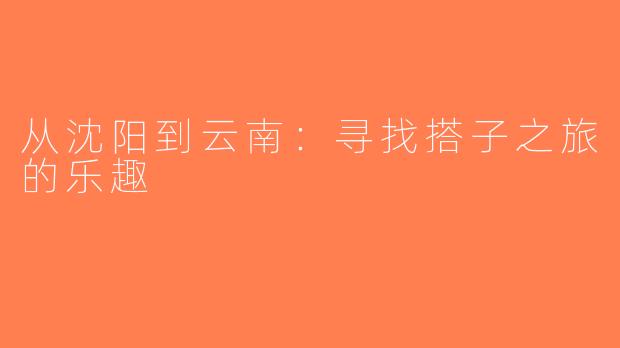 从沈阳到云南：寻找搭子之旅的乐趣