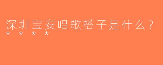 深圳宝安唱歌搭子是什么？****