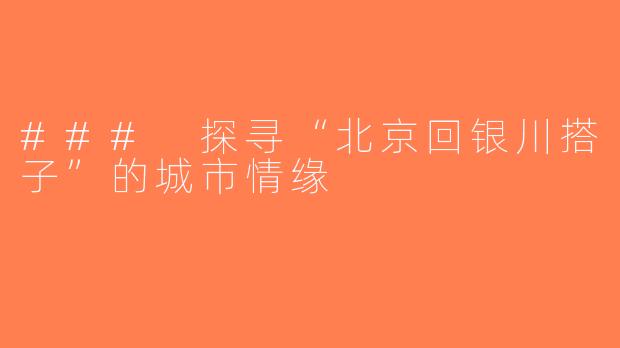 ### 探寻“北京回银川搭子”的城市情缘